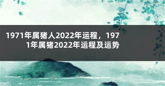 1971年属猪人2022年运程，1971年属猪2022年运程及运势