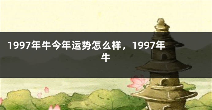 1997年牛今年运势怎么样，1997年牛