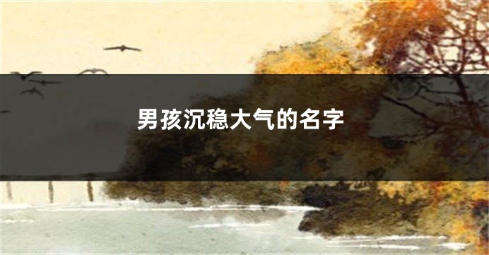 男孩沉稳大气的名字