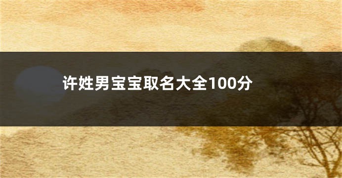 许姓男宝宝取名大全100分