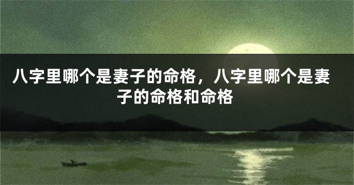 八字里哪个是妻子的命格，八字里哪个是妻子的命格和命格