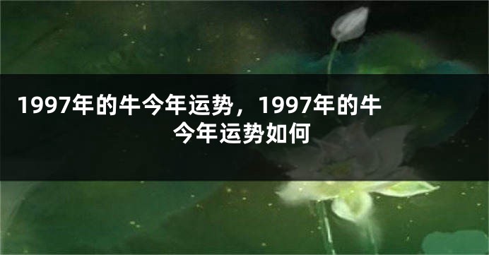 1997年的牛今年运势，1997年的牛今年运势如何