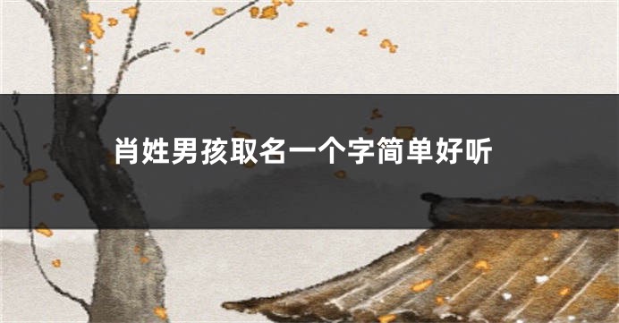 肖姓男孩取名一个字简单好听