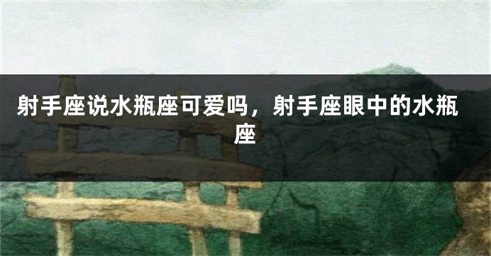 射手座说水瓶座可爱吗，射手座眼中的水瓶座