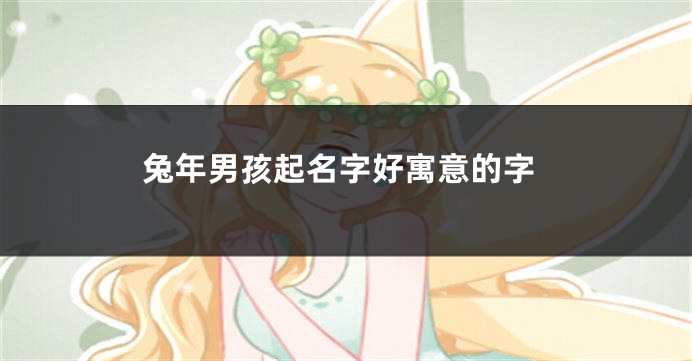 兔年男孩起名字好寓意的字