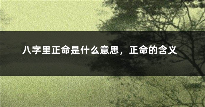 八字里正命是什么意思，正命的含义