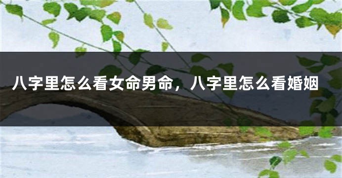 八字里怎么看女命男命，八字里怎么看婚姻