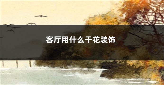 客厅用什么干花装饰