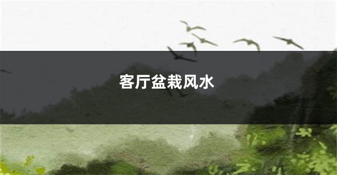 客厅盆栽风水