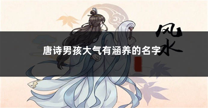 唐诗男孩大气有涵养的名字