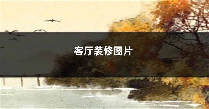 客厅装修图片