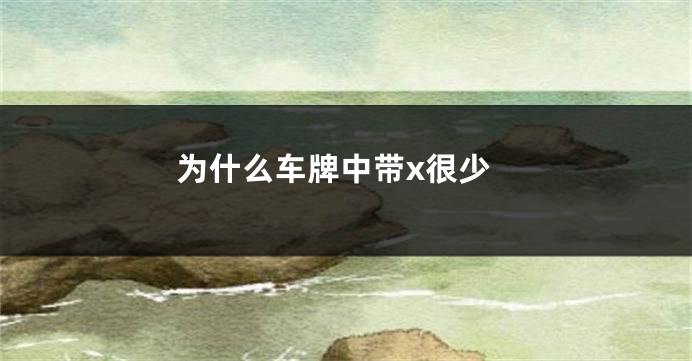 为什么车牌中带x很少