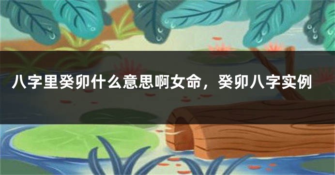 八字里癸卯什么意思啊女命，癸卯八字实例