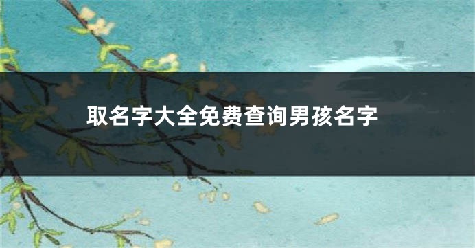 取名字大全免费查询男孩名字