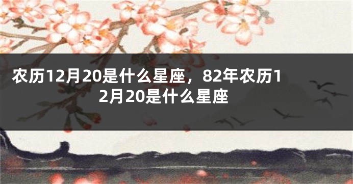 农历12月20是什么星座，82年农历12月20是什么星座