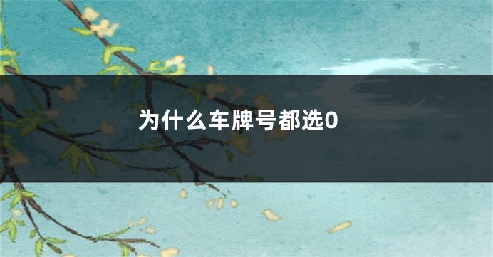 为什么车牌号都选0
