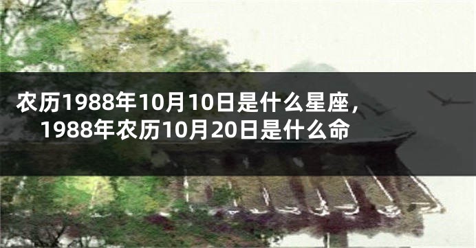 农历1988年10月10日是什么星座，1988年农历10月20日是什么命