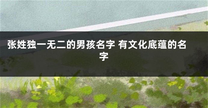 张姓独一无二的男孩名字 有文化底蕴的名字