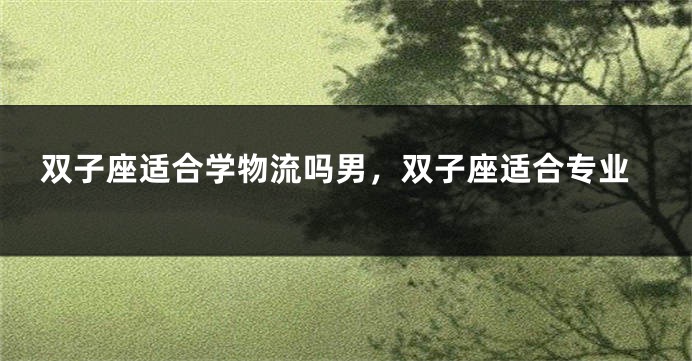 双子座适合学物流吗男，双子座适合专业