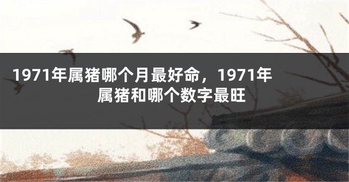 1971年属猪哪个月最好命，1971年属猪和哪个数字最旺