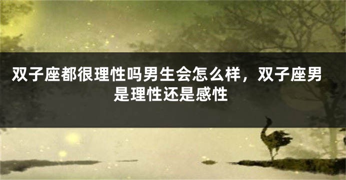 双子座都很理性吗男生会怎么样，双子座男是理性还是感性