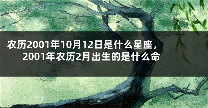 农历2001年10月12日是什么星座，2001年农历2月出生的是什么命