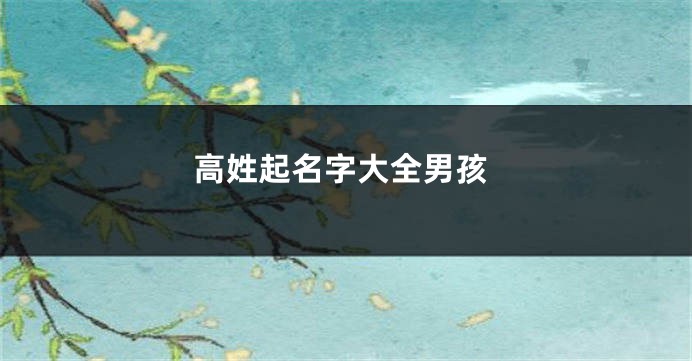 高姓起名字大全男孩