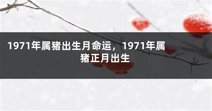 1971年属猪出生月命运，1971年属猪正月出生