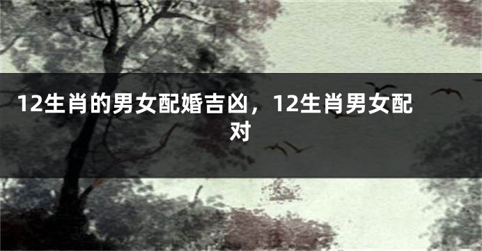 12生肖的男女配婚吉凶，12生肖男女配对