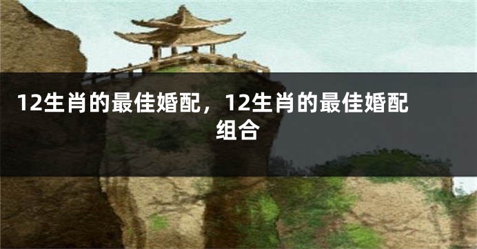 12生肖的最佳婚配，12生肖的最佳婚配组合