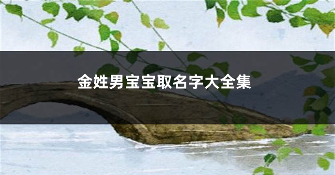 金姓男宝宝取名字大全集