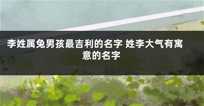 李姓属兔男孩最吉利的名字 姓李大气有寓意的名字
