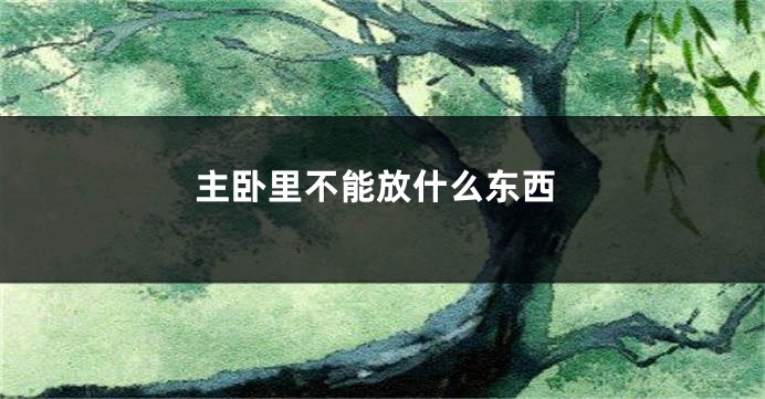 主卧里不能放什么东西