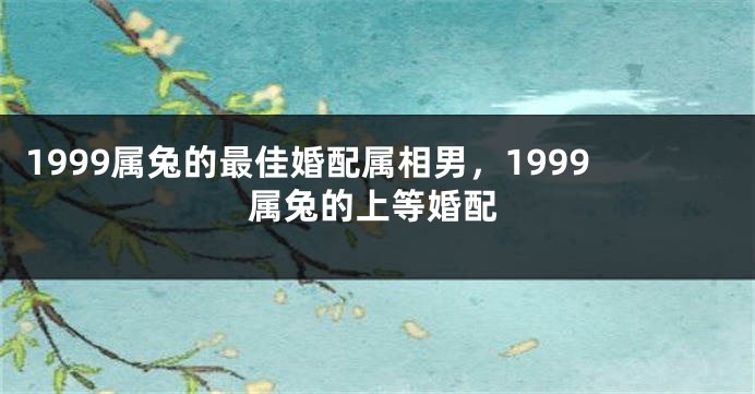 1999属兔的最佳婚配属相男，1999属兔的上等婚配