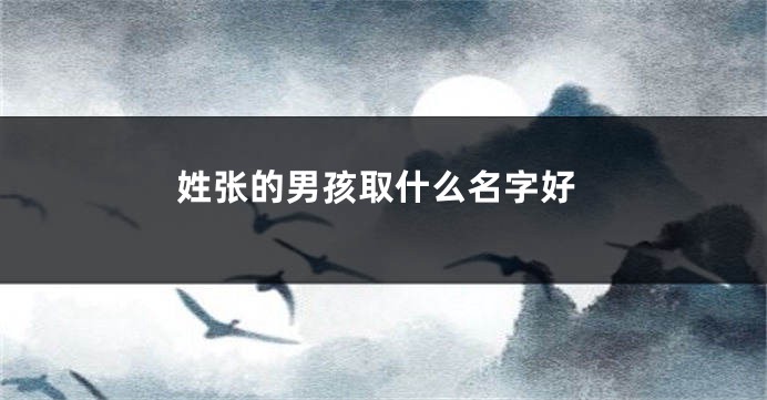 姓张的男孩取什么名字好