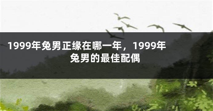 1999年兔男正缘在哪一年，1999年兔男的最佳配偶