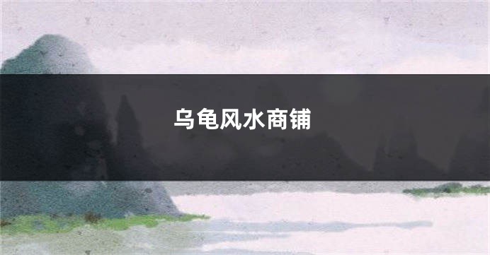 乌龟风水商铺