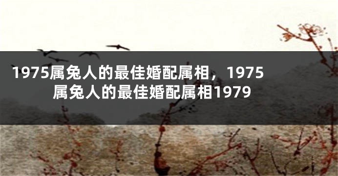 1975属兔人的最佳婚配属相，1975属兔人的最佳婚配属相1979