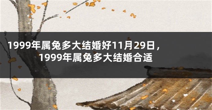 1999年属兔多大结婚好11月29日，1999年属兔多大结婚合适