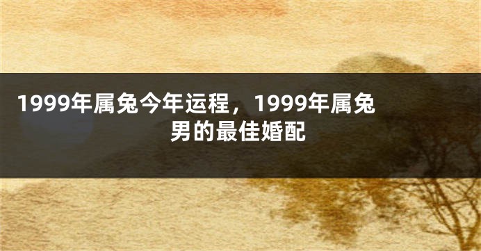 1999年属兔今年运程，1999年属兔男的最佳婚配