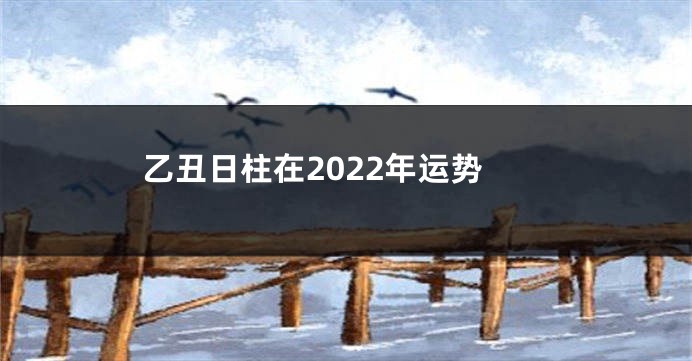 乙丑日柱在2022年运势