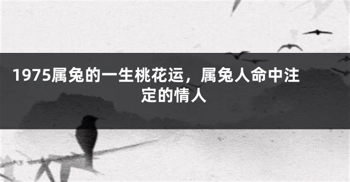 1975属兔的一生桃花运，属兔人命中注定的情人