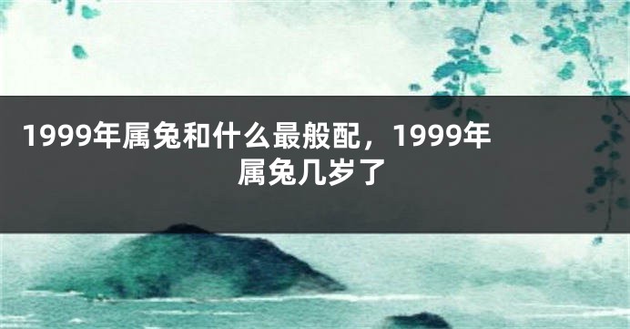 1999年属兔和什么最般配，1999年属兔几岁了