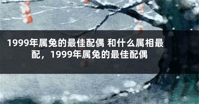 1999年属兔的最佳配偶 和什么属相最配，1999年属兔的最佳配偶
