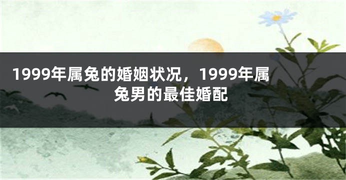 1999年属兔的婚姻状况，1999年属兔男的最佳婚配