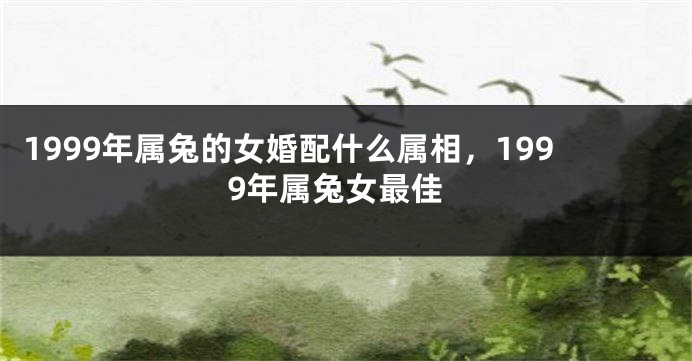 1999年属兔的女婚配什么属相，1999年属兔女最佳