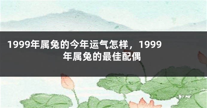 1999年属兔的今年运气怎样，1999年属兔的最佳配偶