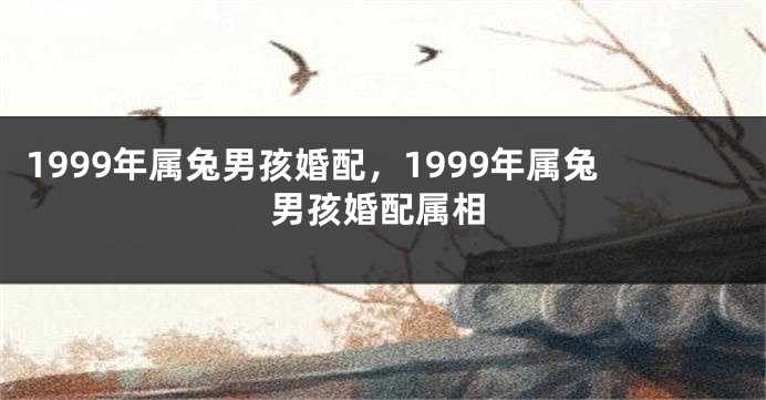 1999年属兔男孩婚配，1999年属兔男孩婚配属相
