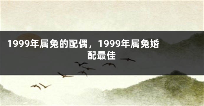 1999年属兔的配偶，1999年属兔婚配最佳