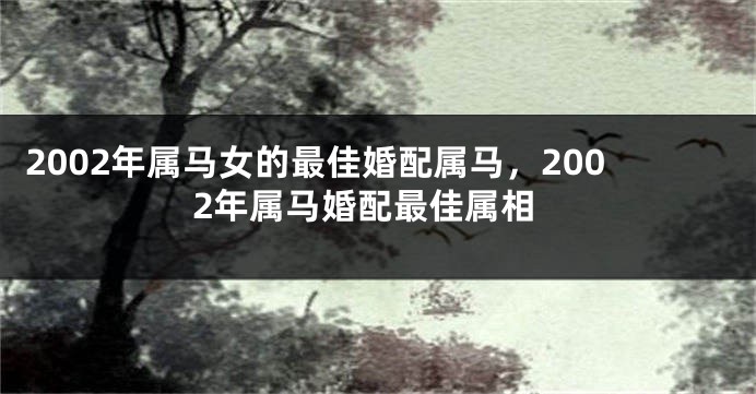 2002年属马女的最佳婚配属马，2002年属马婚配最佳属相